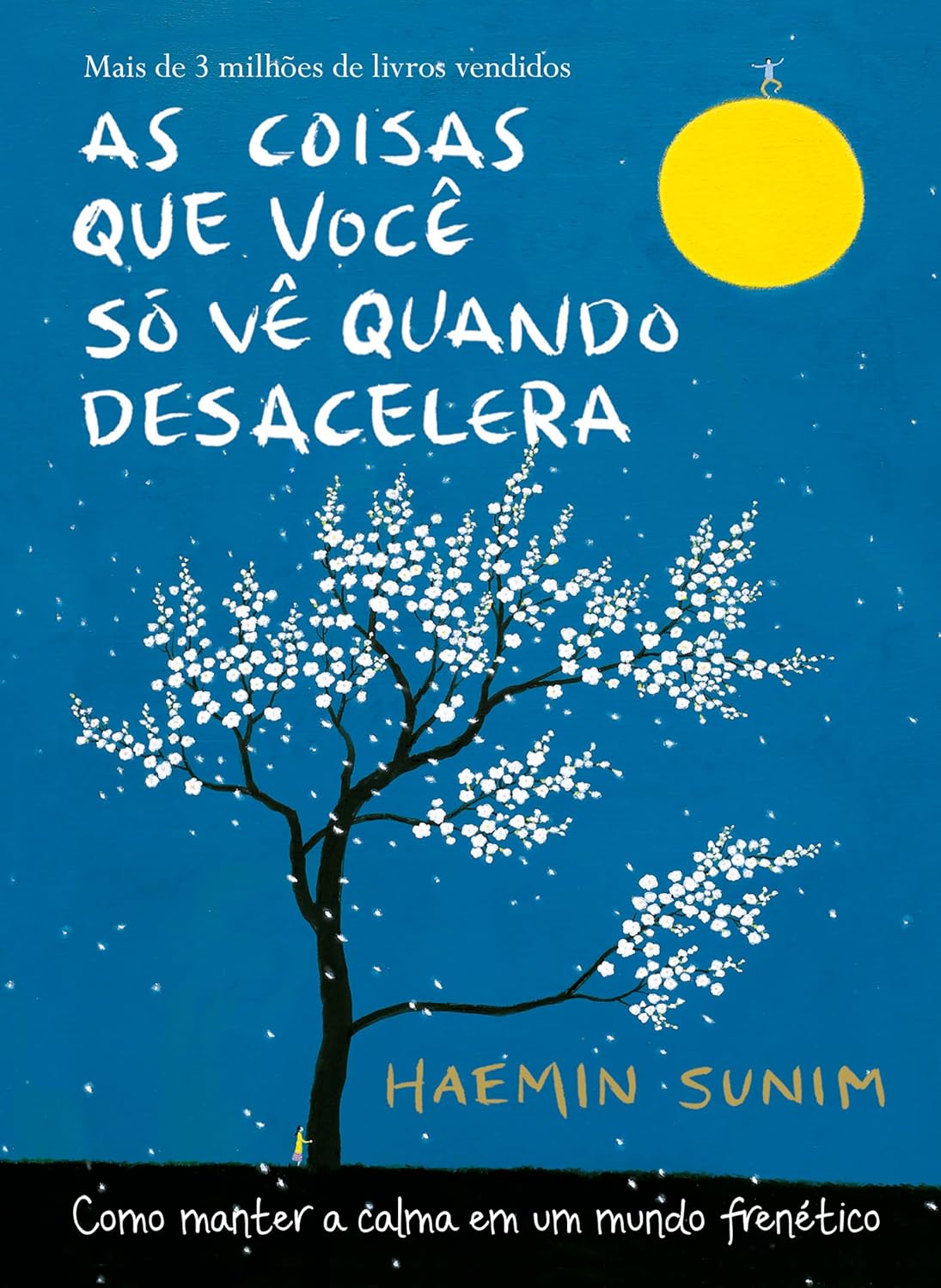 As coisas que você só vê quando desacelera: Como manter a calma em um mundo frenético (Portuguese Edition)